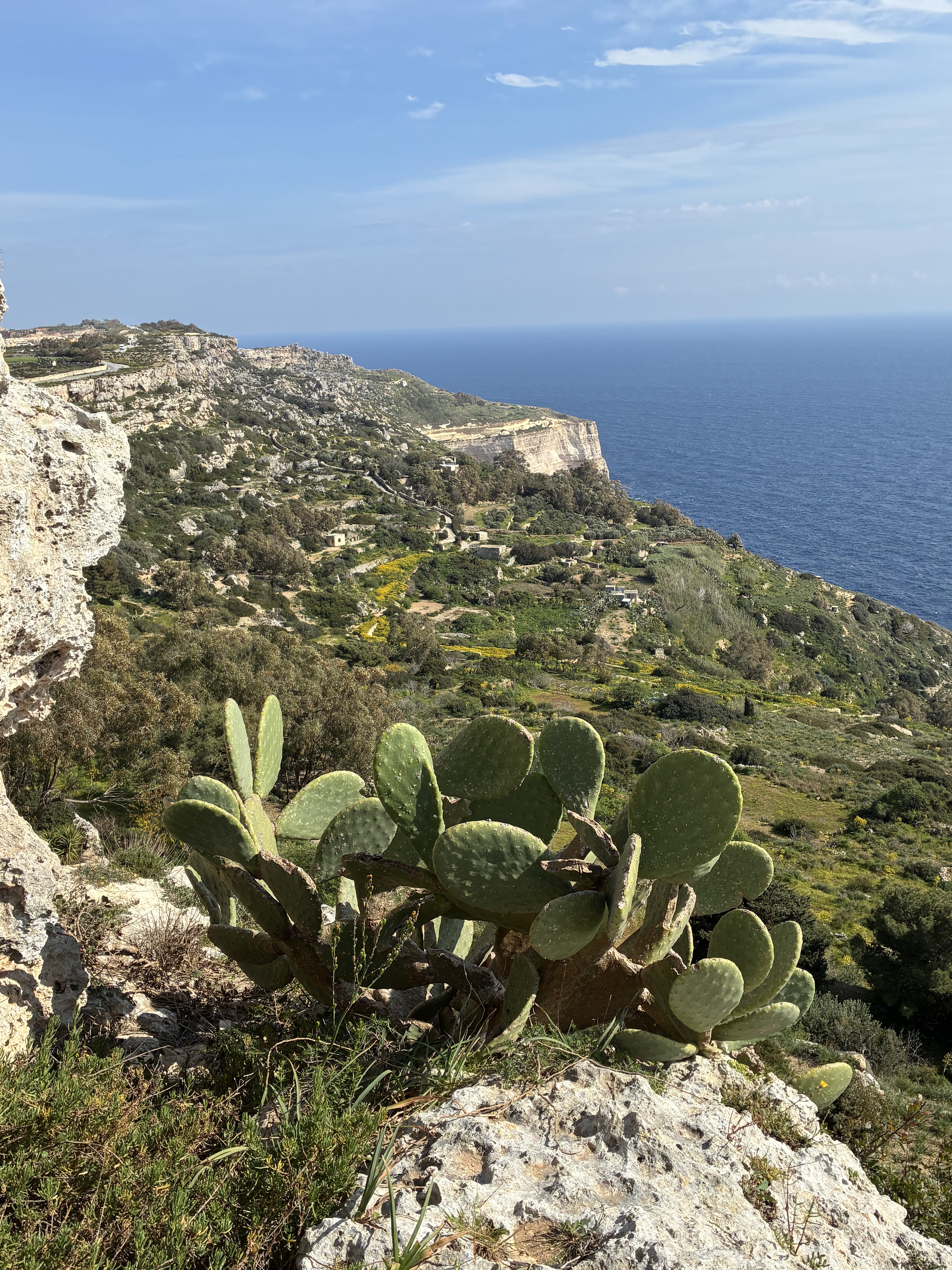 View of Filfla